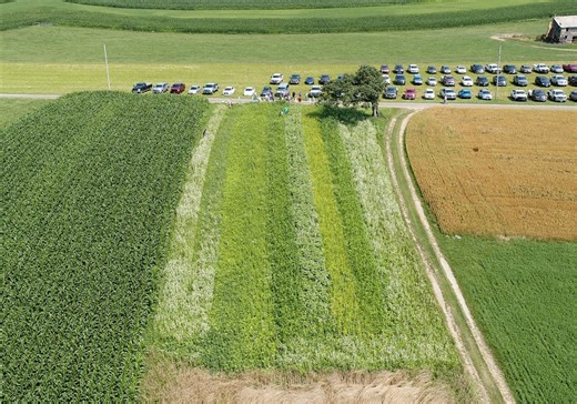 Pa. farmers go back to the soil, focusing on the bottom line — and potentially human health