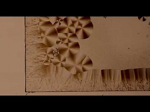 Liquid Crystal Crystallization | 4K Under the Microscope