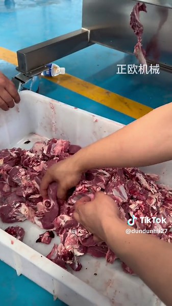 Efficient Mutton Cutting Machine for Precision Cuts