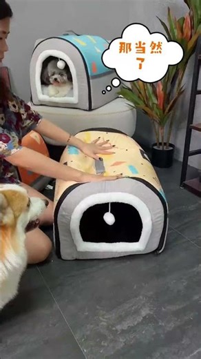 This Dog Kennel Is a Cozy Tunnel Dream 🐾🔥
