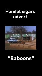 When baboons destroy your car there’s only one thing for it: Hamlet, the mild cigar. This advert dates from the mid 80s | AdTurds