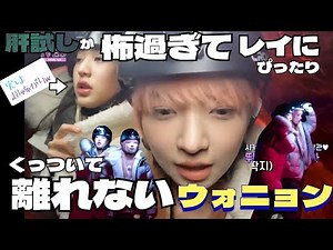 【IVE】肝試しでレイの威を借るニョン【日本語字幕】
