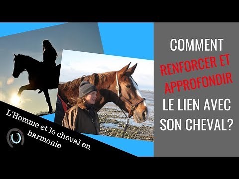 COMMENT CREER UN LIEN PROFOND AVEC SON CHEVAL? [RELATION HOMME CHEVAL]