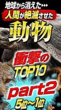 人間が絶滅させた動物TOP10 part2（5位～1位）