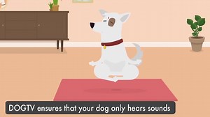 37K views · 855 reactions | A television experience for your dog. Using scientifically developed content, DOGTV creates sights and sounds to comfort your dog while you are away. | DOGTV | Facebook
