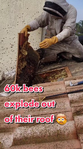 mr.mrs.beerescue on TikTok