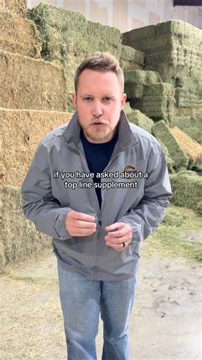 You HAVE to have a good forage for your horse! #horsenutrition #horsefeed #horsesupplements #horseowner #horsepeople | Cook Feed & Outdoor