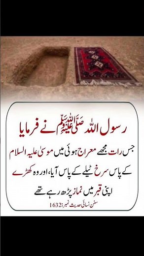 Hadees e pak | Hadith #hadees #hadith #shorts #shortsfeed #quotes