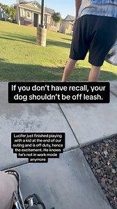 4.1M views · 10K reactions | Being rushed by an off leash dog is never okay. Leash your pets. ***Lucifer just finished playing with a kid at the end of our outing and is off duty, hence the excitement. He knows he's not in work mode.*** ⛧ #cardiacalertdog #servicedog #workingdog #wlgsd #germanshepherd #dogtraining #ambulatorywheelchairuser #mcas #eds #pots | Demon.Dog.Duo | Facebook