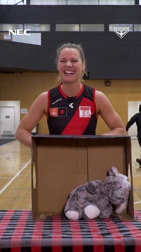 Unboxing Mystery: What’s Really in the Box?