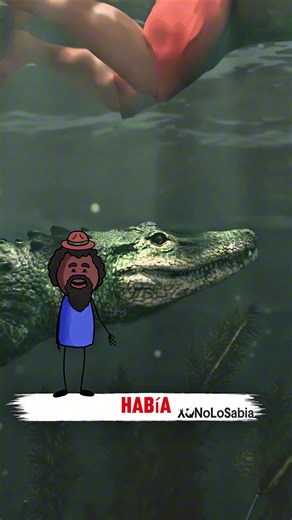 El niño de 13 años que salvó 17 vidas durante un huracán 😮 #ZackDFilms #XQNoLoSabia #InterestingFacts #DatosCuriosos #Didyouknow