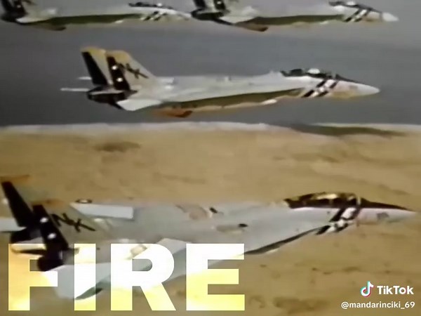 F-14 edit #fyp #edit #f14 #aviation #brainmoser