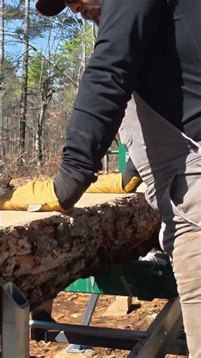 Firing Up the Sawmill — Cutting Oak