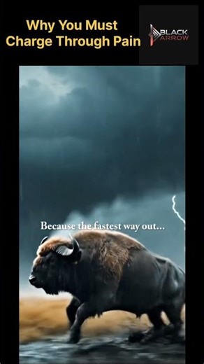 Be the Buffalo | Face the Storm Head-On Motivation