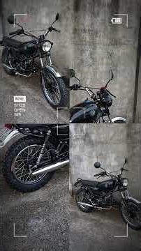 Win 100 Tracker by D.O.G Classic