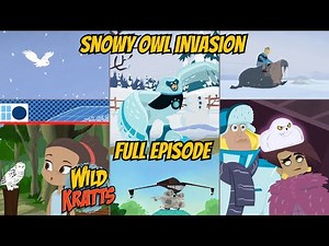 Wild Kratts S04E18 - Snowy Owl Invasion (Full Episode)