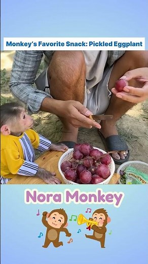 Monkey’s Favorite Snack: Pickled Eggplant 🐒✨🍆