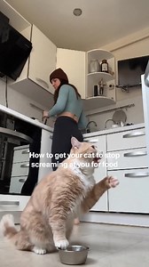 We feed Smalls to our own cats. It’s fresh, cat-first food made by people who get what cats biologically need. | Smalls