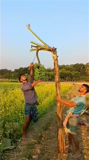 banana cutting master #ভাইরাল_ভিডিও #banana