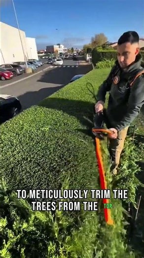 Hedge Shaping Masterclass ✂️🌳 | The MOST Satisfying Job You’ll Watch Today! #inspiration