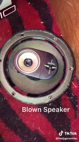 Enhance Your VW Bus Audio with Custom Speakers