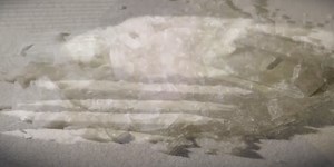 County prosecutor: Marquette County felony drug cases ‘lower than last year’