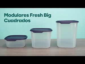 Modulares Fresh Big Tupperware®