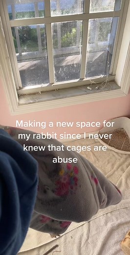 Creating a Cozy Space for Your Pet Rabbit