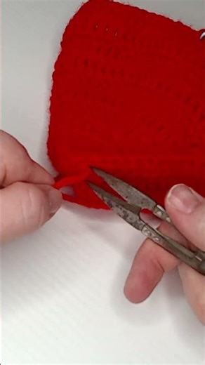 BEAUTIFUL Tulip Purse with Crochet!- Part 29!