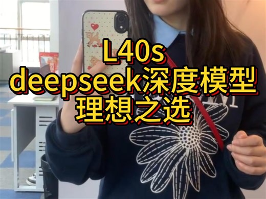 为什么L40s是deepseek深度模型的理想之选