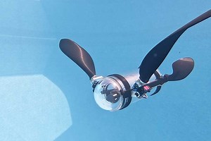 Un adolescent récompensé pour sa tortue robotisée qui surveille les écosystèmes aquatiques