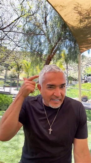SPANISH SUNDAY! Antes de hablar con palabras, a nuestros perros hay que hablarles en silencio, a través de nuestra energía. | Cesar Millan