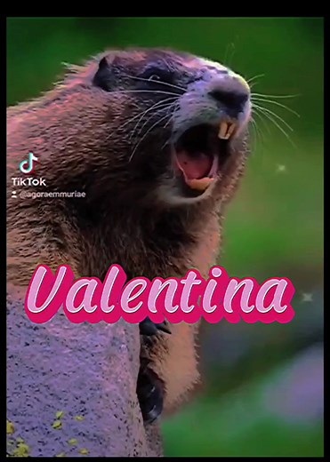 O Significado do Nome Valentina e Suas Raízes