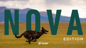 🚨 Introducing Nova Edition, the most advanced GPS dog fence on the market! Built on the proven reliability of our Omni Edition, Nova delivers: Custom voice commands, communicate directly with your dog from anywhere 🗣️ Pinpoint GPS accuracy under 5 feet* with the largest GPS antenna on the market 151-satellite network for rock-solid containment, even in forests, near metal structures, or rugged terrain Activity tracking heatmaps to understand your dog’s behavior Longer battery life, improved ce