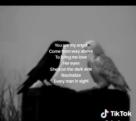 You Are My Angel - Lyrics Video