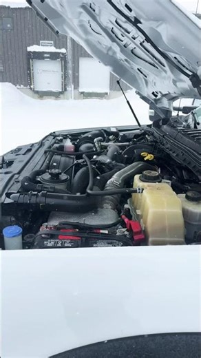 C92660-2019 Ford F550 engine running video #ford #fordf550