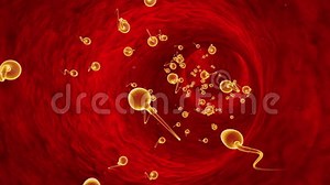 Movement of Spermatozoa through the Fallopian Tubes. Sperm, Fertilization. 3D Animation. Stock Footage - Video of microscopic, micro: 92055766