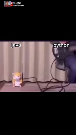 Alkhalid Sardar on Instagram: "Interpreted vs compiled language #programming #code #coding #java #javascript #python"