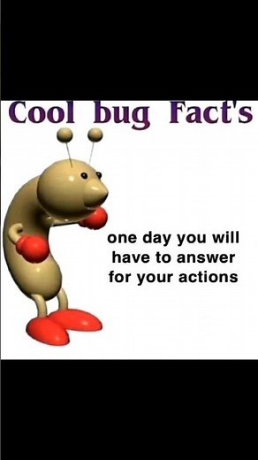 Cool Bug Facts one day you will have to answer for your actions