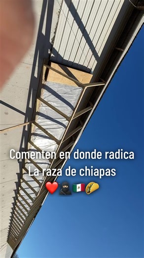 #gallineras #pollosusa🇺🇸 #mexicanoschingones #freimeroschingones