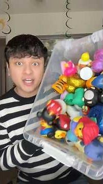 organizing my rubber duck collection on a shelf 🐥 #duck #collection