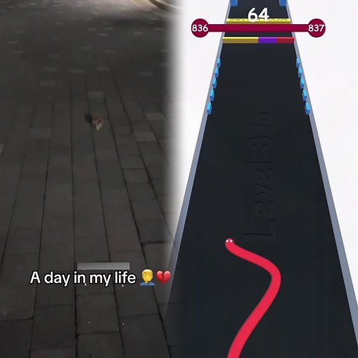 SpongeBob Meets Frankenstein: A Pet Adventure