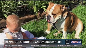 Boarding facility partly blames owners for dogs' death, disappearance