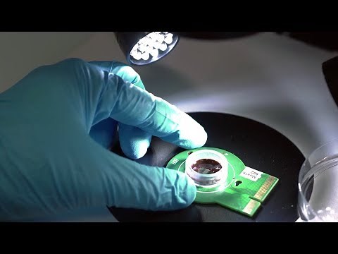 The Human Body: the ultimate frontier of complexity