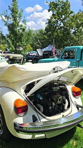 what year is this Volkswagen Beetle? #convertible #shorts #VW