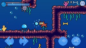 Features and animations news