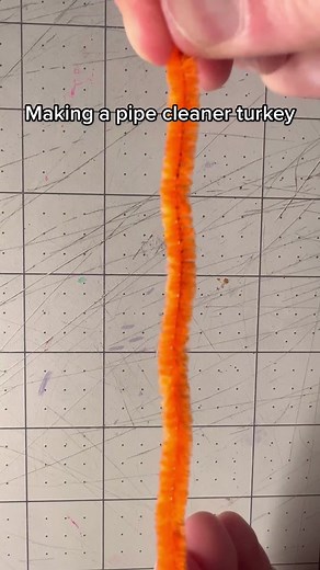 Crafting a Pipe Cleaner Turkey for the Holidays