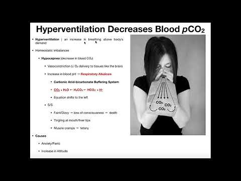 Altered Breathing (via pCO2) & Breathing Imbalances
