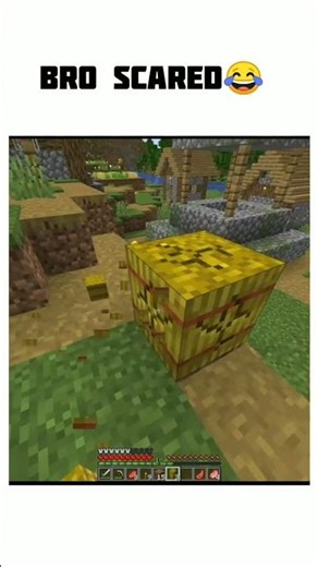😂 BRO SCARED