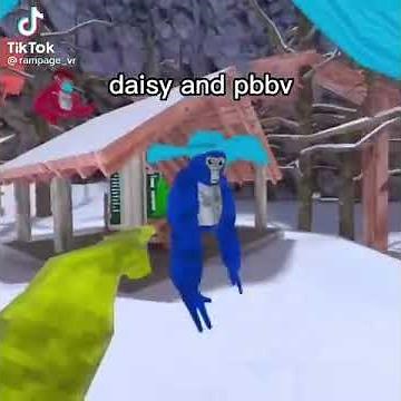 Daisy VS pbbv